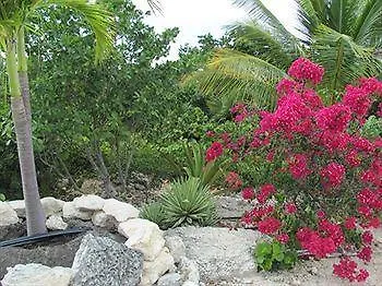 Hotel Casa De Isle Taylor Bay Beach